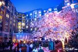 'Year Of The Horse' Chinese Zodiac Celebration Marks Mandarin Oriental D.C.'s 10th Anniversary